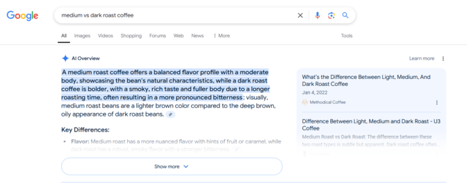 Google AI Overview example