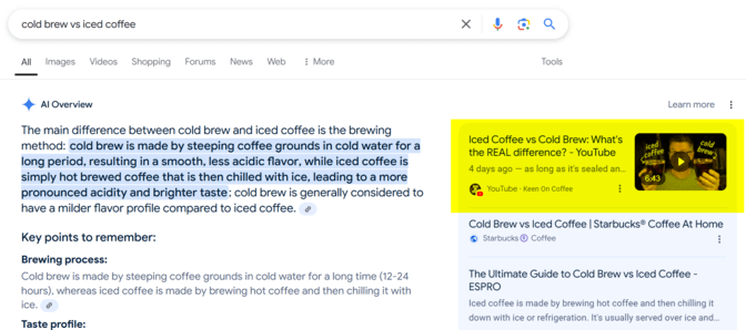 AI Overview with video